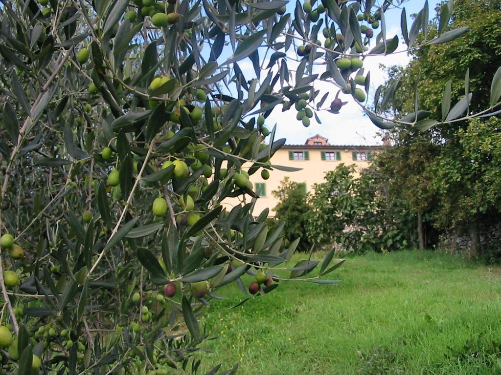 Hotel Relais Palazzo Di Luglio Sansepolcro Ngoại thất bức ảnh